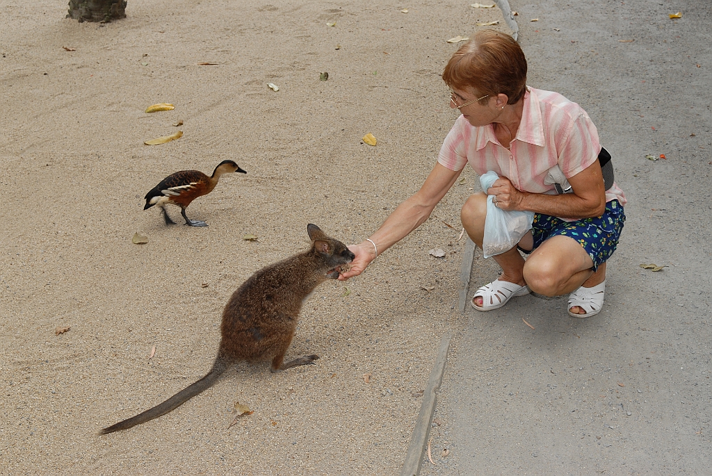 0779 Wildlife Habitat Port Douglas.jpg